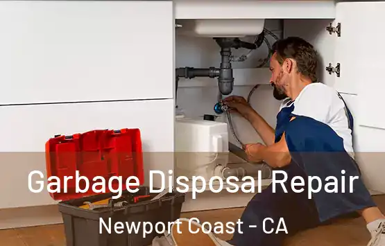  Garbage Disposal Repair Newport Coast - CA