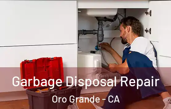 Garbage Disposal Repair Oro Grande - CA