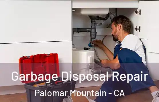  Garbage Disposal Repair Palomar Mountain - CA