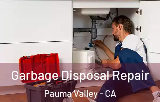  Garbage Disposal Repair Pauma Valley - CA