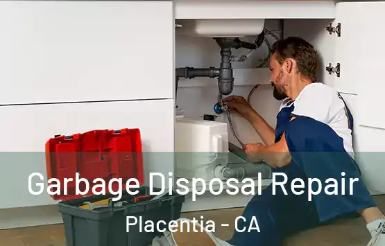  Garbage Disposal Repair Placentia - CA