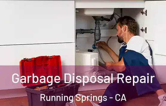  Garbage Disposal Repair Running Springs - CA