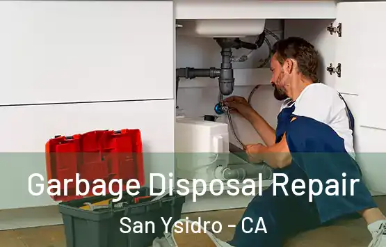  Garbage Disposal Repair San Ysidro - CA