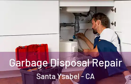  Garbage Disposal Repair Santa Ysabel - CA