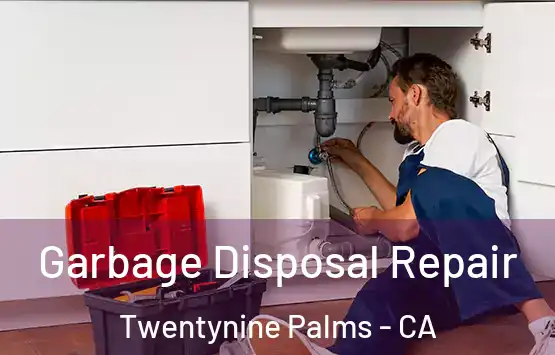  Garbage Disposal Repair Twentynine Palms - CA