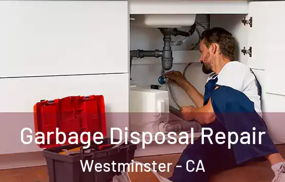  Garbage Disposal Repair Westminster - CA