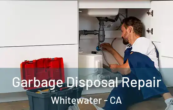  Garbage Disposal Repair Whitewater - CA