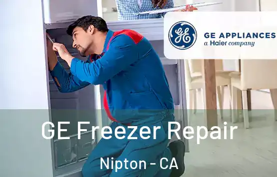  GE Freezer Repair Nipton - CA