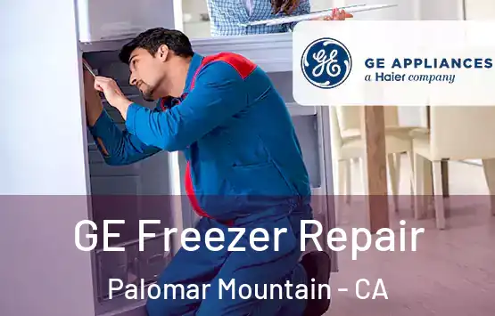  GE Freezer Repair Palomar Mountain - CA