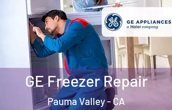  GE Freezer Repair Pauma Valley - CA