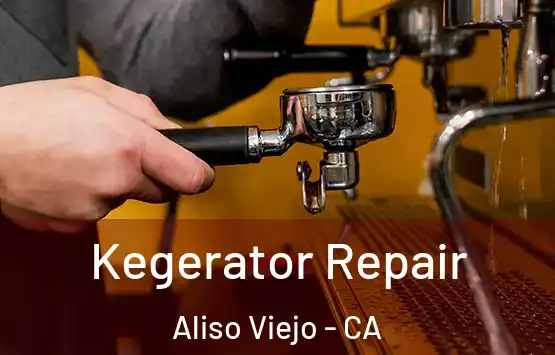  Kegerator Repair Aliso Viejo - CA