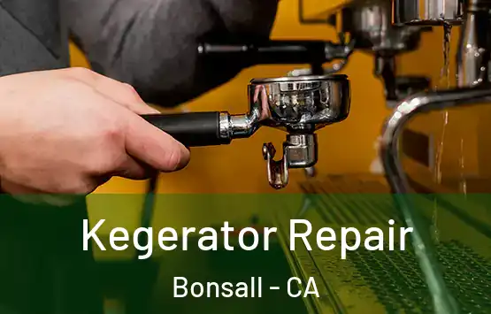  Kegerator Repair Bonsall - CA