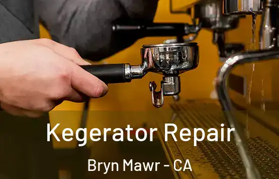  Kegerator Repair Bryn Mawr - CA