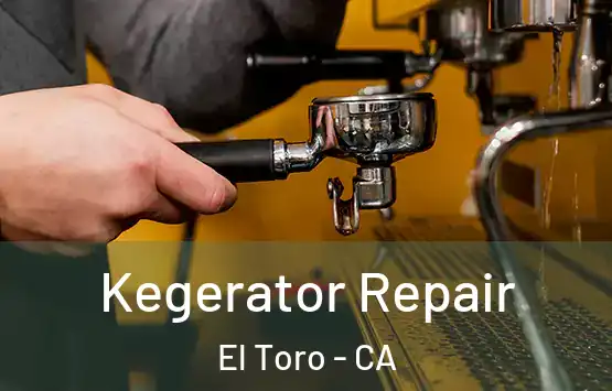  Kegerator Repair El Toro - CA