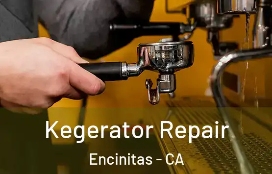  Kegerator Repair Encinitas - CA