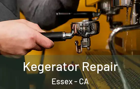  Kegerator Repair Essex - CA