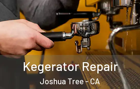  Kegerator Repair Joshua Tree - CA