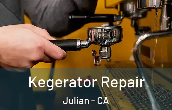  Kegerator Repair Julian - CA