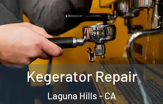  Kegerator Repair Laguna Hills - CA