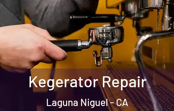 Kegerator Repair Laguna Niguel - CA