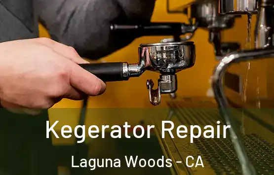  Kegerator Repair Laguna Woods - CA