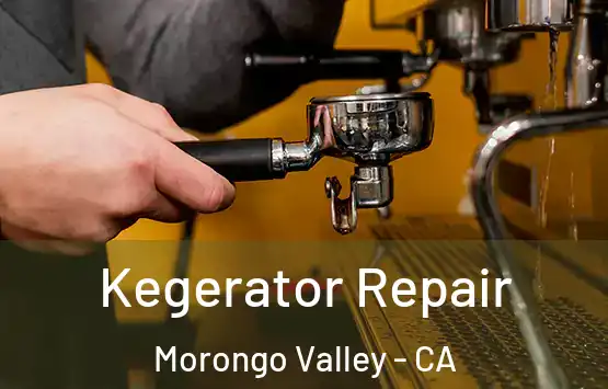 Kegerator Repair Morongo Valley - CA