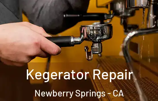  Kegerator Repair Newberry Springs - CA