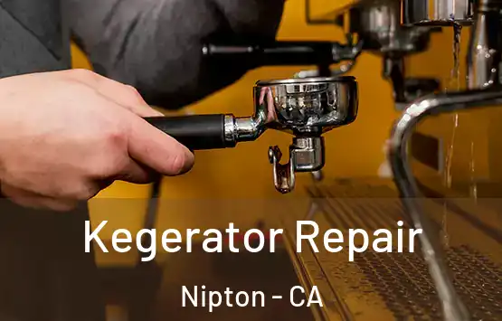  Kegerator Repair Nipton - CA