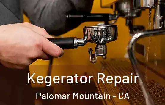  Kegerator Repair Palomar Mountain - CA