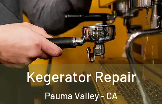  Kegerator Repair Pauma Valley - CA