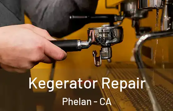  Kegerator Repair Phelan - CA