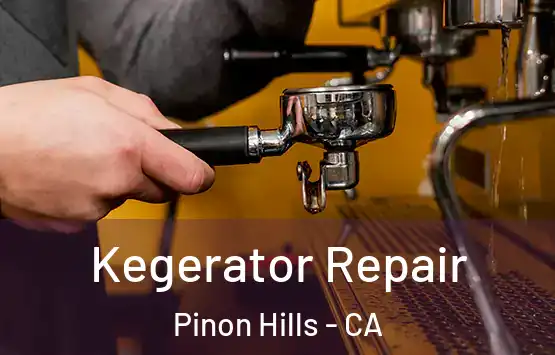  Kegerator Repair Pinon Hills - CA