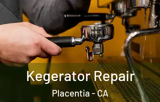  Kegerator Repair Placentia - CA