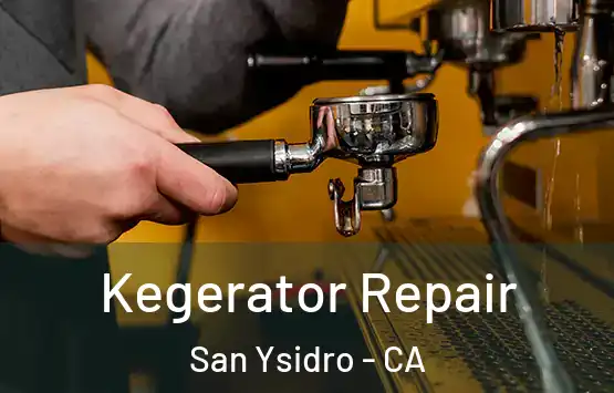 Kegerator Repair San Ysidro - CA