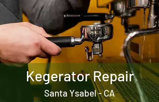  Kegerator Repair Santa Ysabel - CA