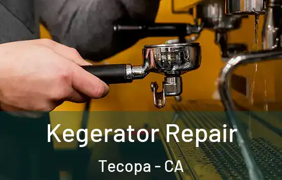  Kegerator Repair Tecopa - CA