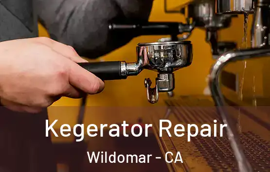  Kegerator Repair Wildomar - CA