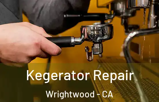  Kegerator Repair Wrightwood - CA
