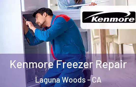  Kenmore Freezer Repair Laguna Woods - CA
