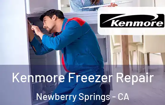  Kenmore Freezer Repair Newberry Springs - CA