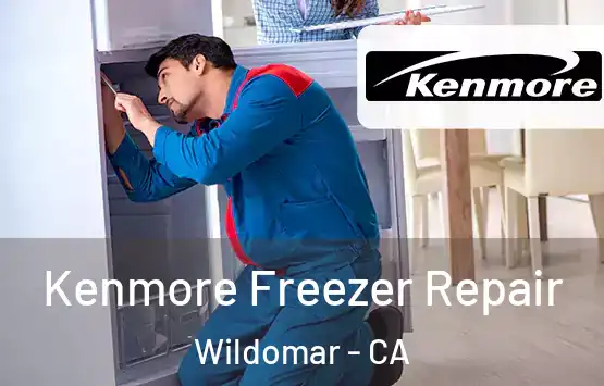  Kenmore Freezer Repair Wildomar - CA