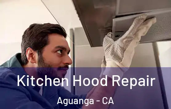  Kitchen Hood Repair Aguanga - CA