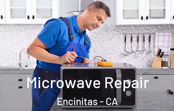  Microwave Repair Encinitas - CA