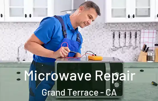  Microwave Repair Grand Terrace - CA