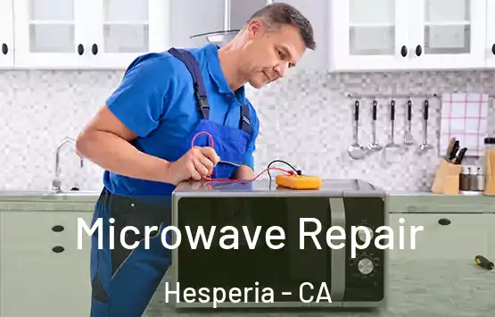  Microwave Repair Hesperia - CA
