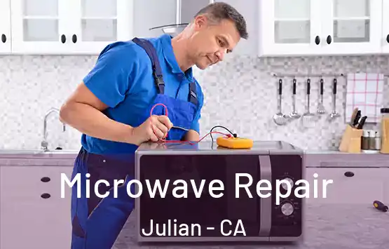  Microwave Repair Julian - CA