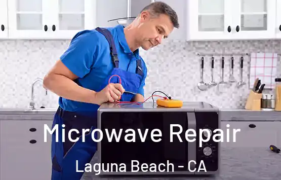  Microwave Repair Laguna Beach - CA