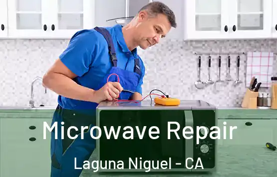  Microwave Repair Laguna Niguel - CA