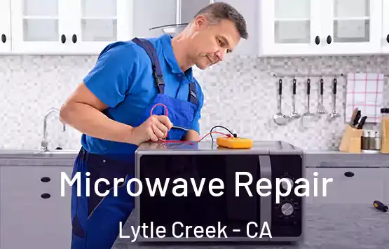  Microwave Repair Lytle Creek - CA