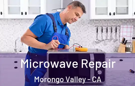  Microwave Repair Morongo Valley - CA